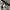 Streetwear Casual Casual pants Pria white gray photo 2