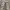 Streetwear Casual Casual pants Pria white gray photo 3