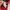 Puma Y2K Sportswear Track jacket Pria black red photo 7
