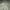 Coquette Minimalist Midi dress Wanita green tan photo 7
