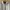 Sorridere Vintage Casual Casual shirt Pria white photo 2