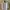 Sorridere Vintage Casual Casual Shirt Pria White