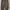 Nike Streetwear Sportswear Sweatpants & Joggers Pria black gray photo 1