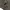 Yeezy Streetwear Avant Garde Trench coat Pria green yellow photo 2
