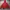 Biker Casual Windbreaker Pria red photo 4