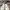 Louis Vuitton Streetwear Luxury Sneakers Pria white brown photo 2
