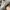 Louis Vuitton Streetwear Luxury Sneakers Pria white brown photo 6