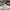 Louis Vuitton Streetwear Luxury Sneakers Pria white brown photo 3