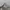 The North Face Casual Hat Pria gray photo 3