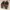 Adidas Sportswear Casual Sneakers Pria multicolor khaki photo 4