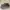 Adidas Sportswear Casual Sneakers Pria multicolor khaki photo 1