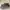 Adidas Sportswear Casual Sneakers Pria Multicolor Khaki