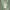 Casual Casual dress Wanita green photo 2