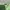 Casual Casual dress Wanita green photo 4