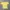 Japanese brand Indie Minimalist T-shirt Pria yellow photo 1