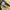 Japanese brand Indie Minimalist T-shirt Pria yellow photo 5