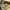 Japanese brand Indie Minimalist T-shirt Pria yellow photo 4