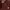 Jean-Michel Basquiat Casual T-shirt Pria burgundy photo 4
