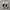 Nike Streetwear Sportswear Sneakers Pria white photo 4