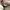 Nike Streetwear Sportswear Sneakers Pria white photo 6