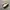Nike Streetwear Sportswear Sneakers Pria white photo 3