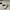 Nike Streetwear Sportswear Sneakers Pria white photo 1