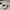 Nike Streetwear Sportswear Sneakers Pria White