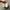 Nike Streetwear Sportswear Sneakers Pria white photo 5