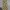 Minimalist Casual Bodycon dress Wanita multicolor photo 1