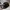 New Era Streetwear Sportswear Hat Pria Multicolor