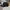 New Era Streetwear Sportswear Hat Pria multicolor photo 2