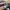 New Era Streetwear Sportswear Hat Pria multicolor photo 7