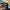 New Era Streetwear Sportswear Hat Pria multicolor photo 4