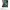 Polo Ralph Lauren Vintage Y2K Hat Pria green photo 7