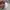 Zara Casual Jersey Kids multicolor photo 5