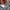 Zara Casual Jersey Kids multicolor photo 7