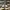 Gucci Luxury Casual Sneakers Pria brown gray photo 2