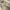 XLARGE Streetwear Minimalist Sweater Pria multicolor tan photo 2