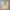 XLARGE Streetwear Minimalist Sweater Pria Multicolor Tan