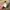XLARGE Streetwear Minimalist Sweater Pria multicolor tan photo 4