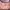 Prada Luxury Minimalist Shoulder bag Wanita pink photo 1