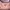 Prada Luxury Minimalist Shoulder Bag Wanita Pink