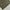 Dickies Casual Formal shirt Pria green photo 4