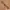 Merrell Avant Garde Casual Belt Pria multicolor photo 4