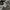 Minimalist Sweatshirt Pria gray photo 4