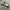 Minimalist Sweatshirt Pria gray photo 2