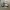 Minimalist Sweatshirt Pria gray photo 1