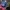 MLB Sportswear Hat Pria blue photo 4