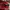Adidas Casual Sneakers Pria black red photo 2