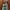 Hermes Streetwear Luxury Tote bag Wanita green photo 4